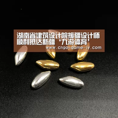 湖南省建筑设计院援疆设计师顺利抵达新疆‘九游体育’(图4) 九游体育
