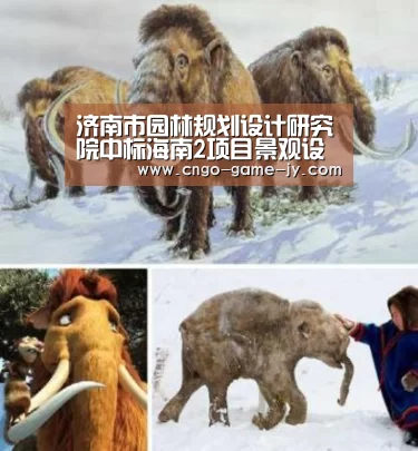 济南市园林规划设计研究院中标海南2项目景观设计:九游体育(图3) 九游体育