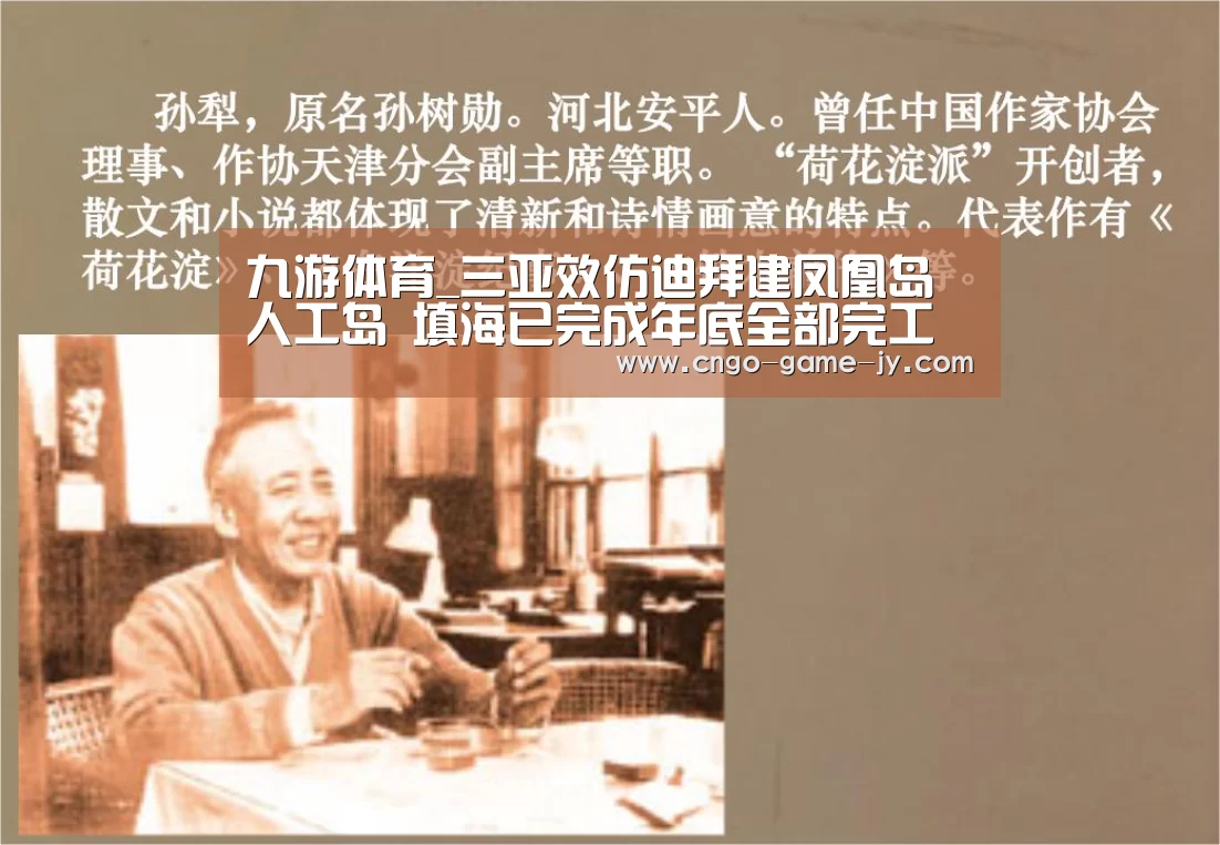 九游体育_三亚效仿迪拜建凤凰岛人工岛 填海已完成年底全部完工(图4) 九游体育