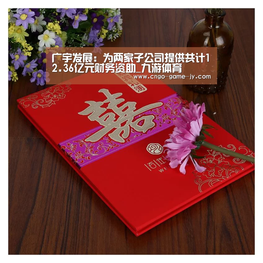 广宇发展:为两家子公司提供共计12.36亿元财务资助_九游体育(图2) 九游体育